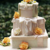 Ana Parzych Cakes