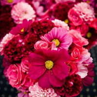 Stems Floral Design Connecticut