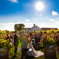 Chamard Vineyards Connecticut