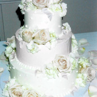 Sweet Designs Connecticut