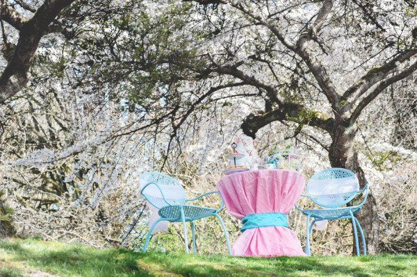 Gill_Mau_LEstelle_Photography_lestellevancouvercherryblossomsweddingengagement55_low