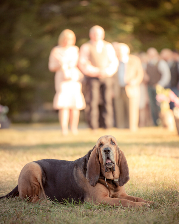 Nicolas_Day_Carla_Ten_Eyck_Photography_DAYWEDDING0090_low