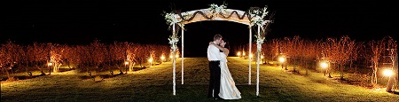 salt-water-farm-vineyard-weddings